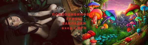 мяу мяу мука Алзамай