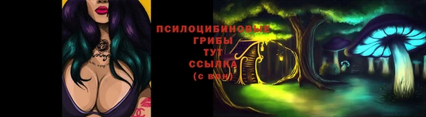 мяу мяу мука Алзамай