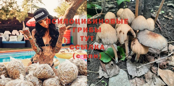 ГАЛЛЮЦИНОГЕННЫЕ ГРИБЫ Новокубанск