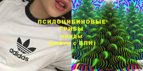 мяу мяу мука Алзамай