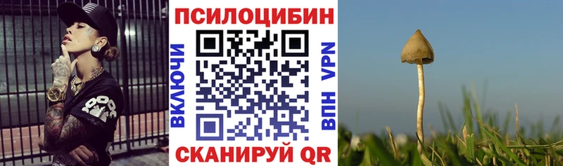 как найти закладки  Заозёрный  Галлюциногенные грибы MAGIC MUSHROOMS 